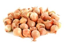 Onions, Gold Pearl